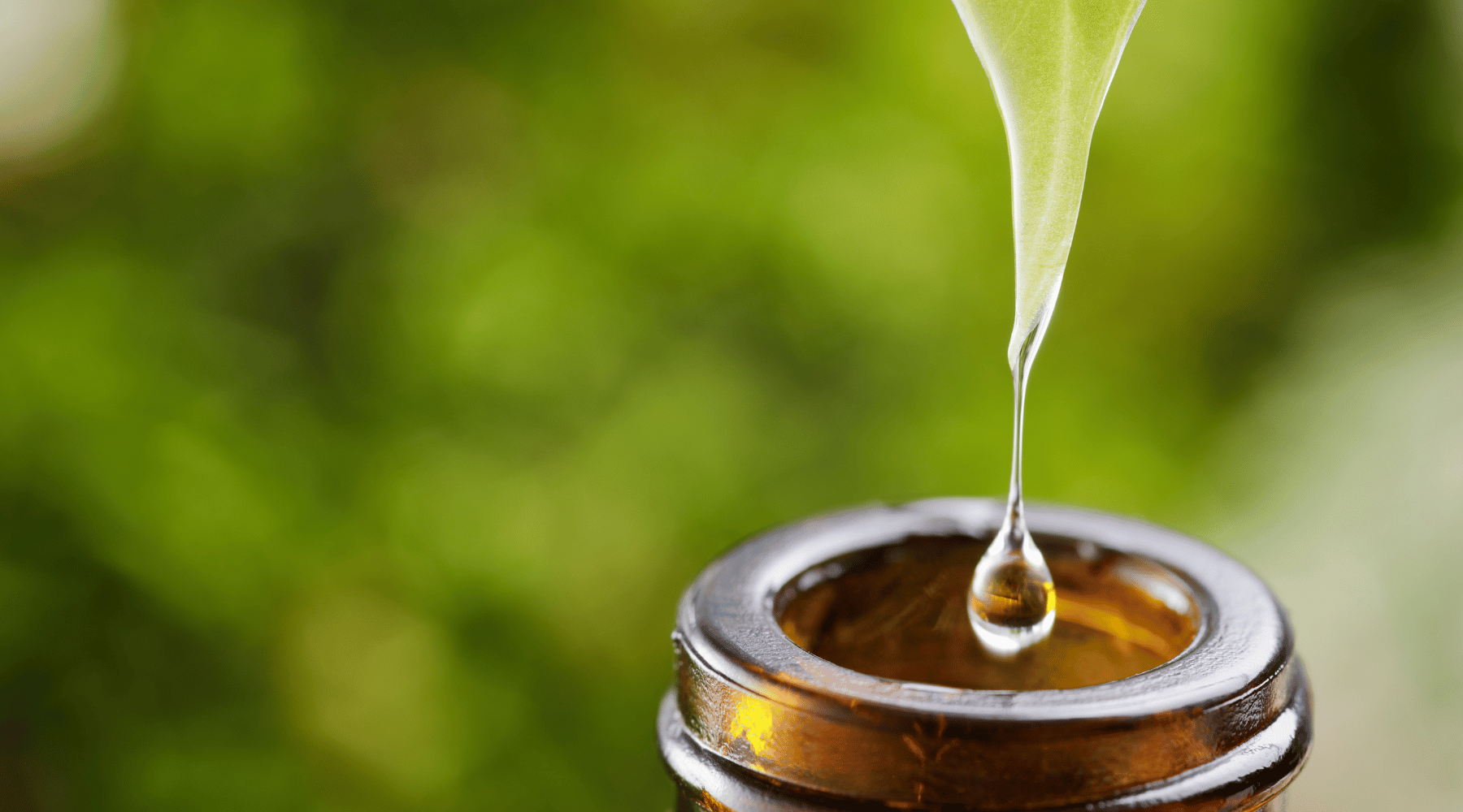 Activated Carbon in Botanical Extraction: Purifying Plant-Based Products