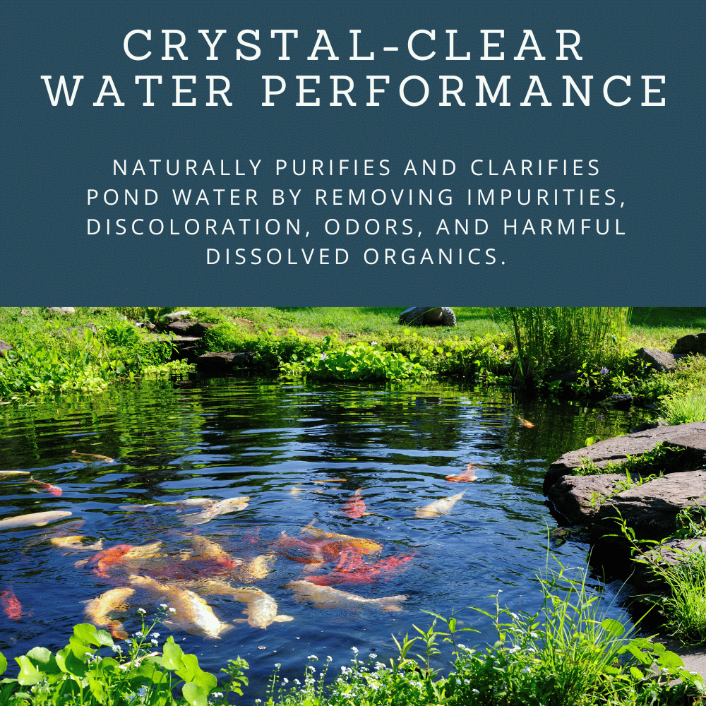 Activated Carbon for Ponds - Crystal-Clear Water Performance