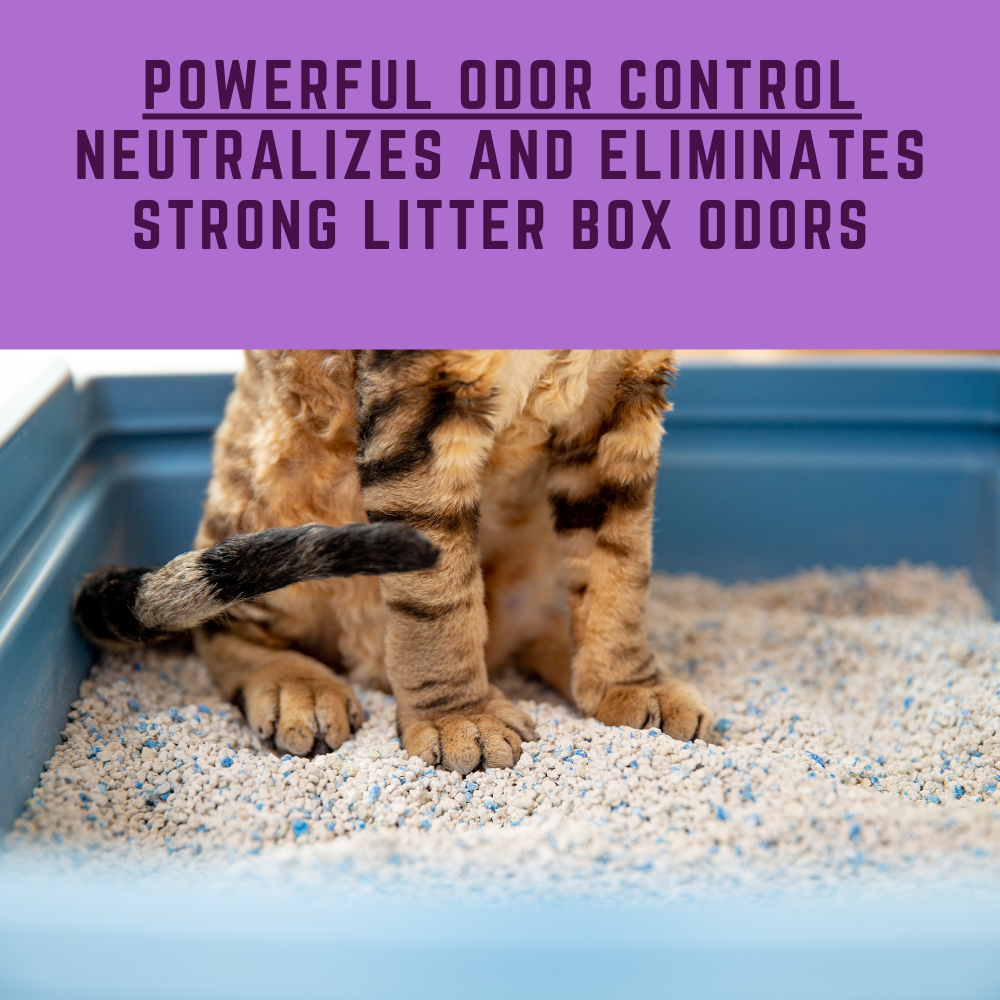 activated carbon for cat litter odor