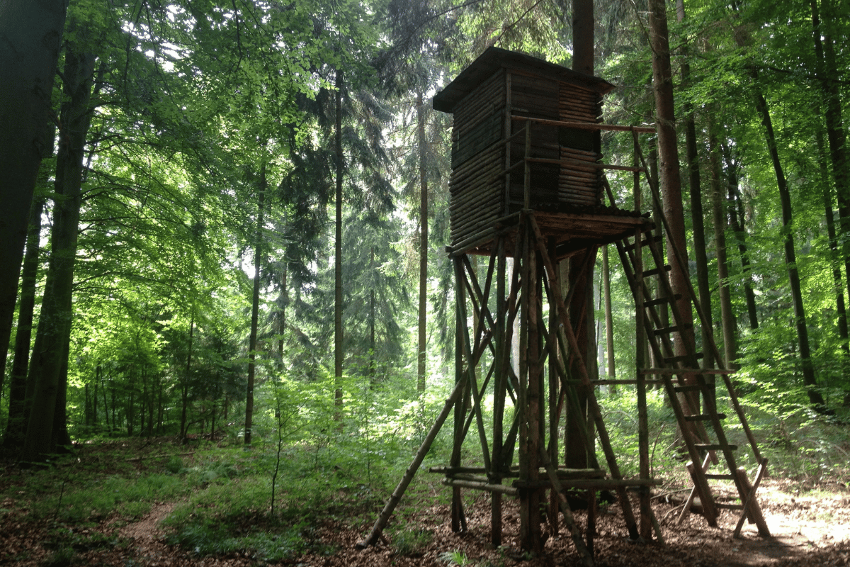 hunting clothes scent control