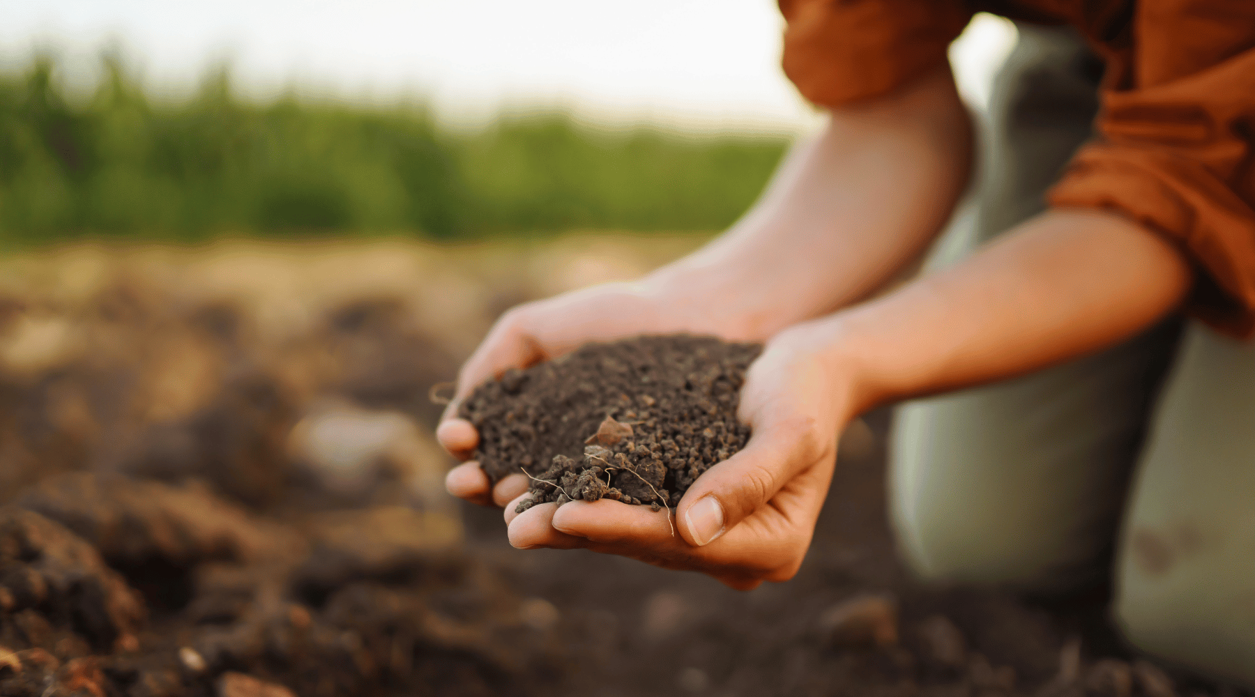Activated Carbon for Soil Remediation: A Natural Solution to Land Contamination
