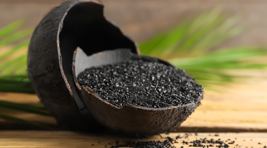 Coconut Shell Activated Charcoal: Benefits and Uses