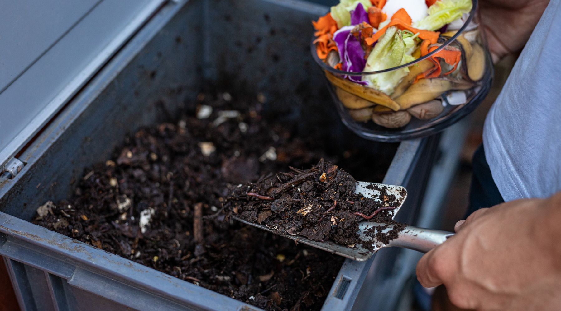 How Activated Carbon Eliminates Odors in Kitchen Compost Bins