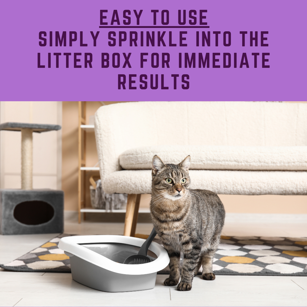 Activated Carbon for Cat Litter Boxes | Free Shipping